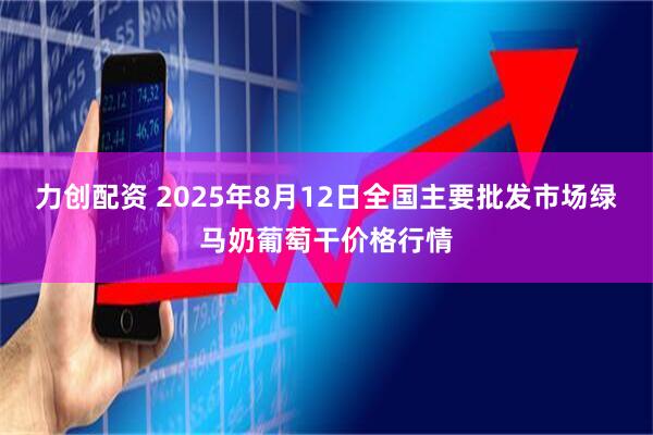 力创配资 2025年8月12日全国主要批发市场绿马奶葡萄干价格行情